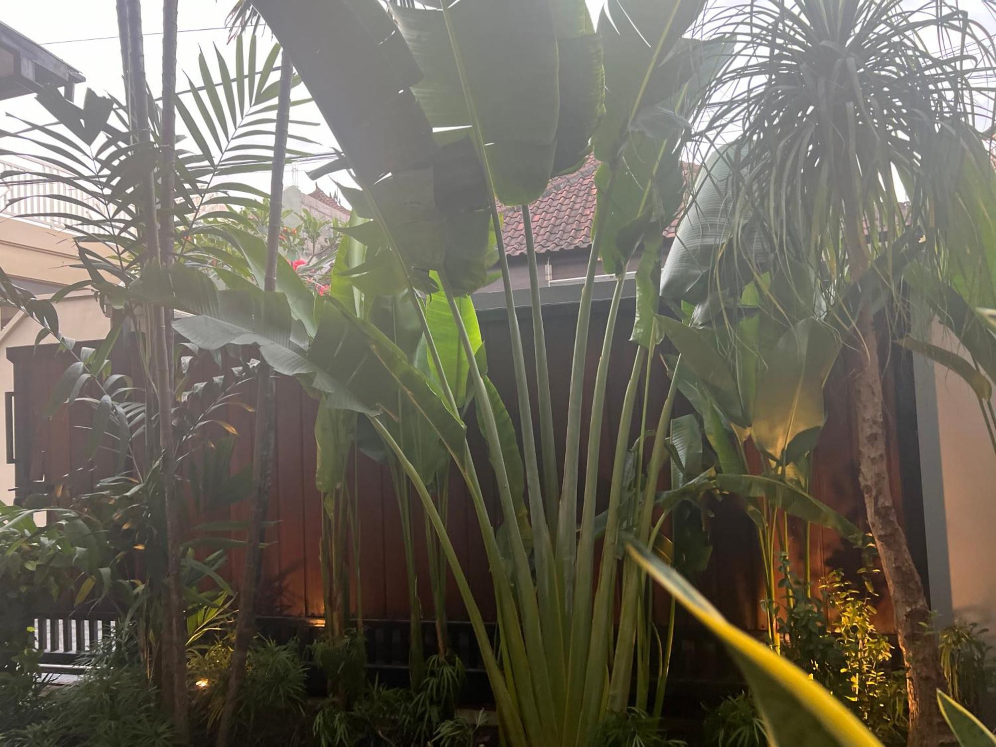 Villa Makmur เกอโรโบกัน ภายนอก รูปภาพ